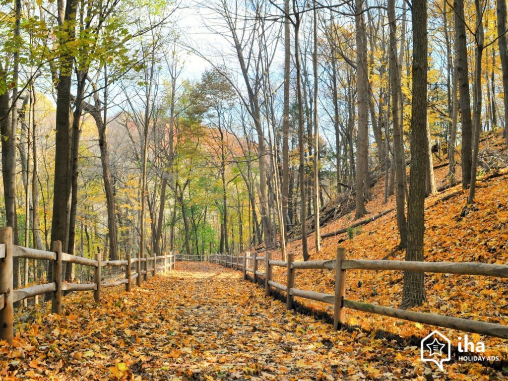 toronto-autumn1