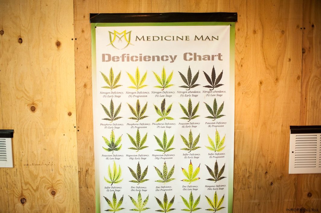 An informational poster at Medicine Man in Denver.