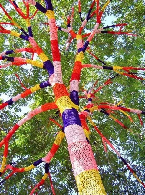 Yarnbombing, which involves people leaving knitted items on objects such as trees, lampposts and buses - Jan 2009