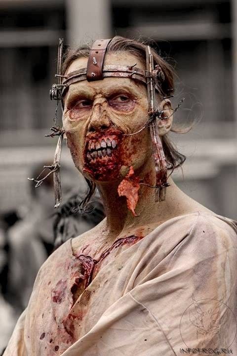 zombi13