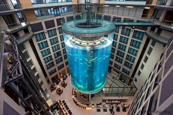 Image: The AquaDom in the Sealife Center at the Radisson SAS Hotel, Berlin, Germany