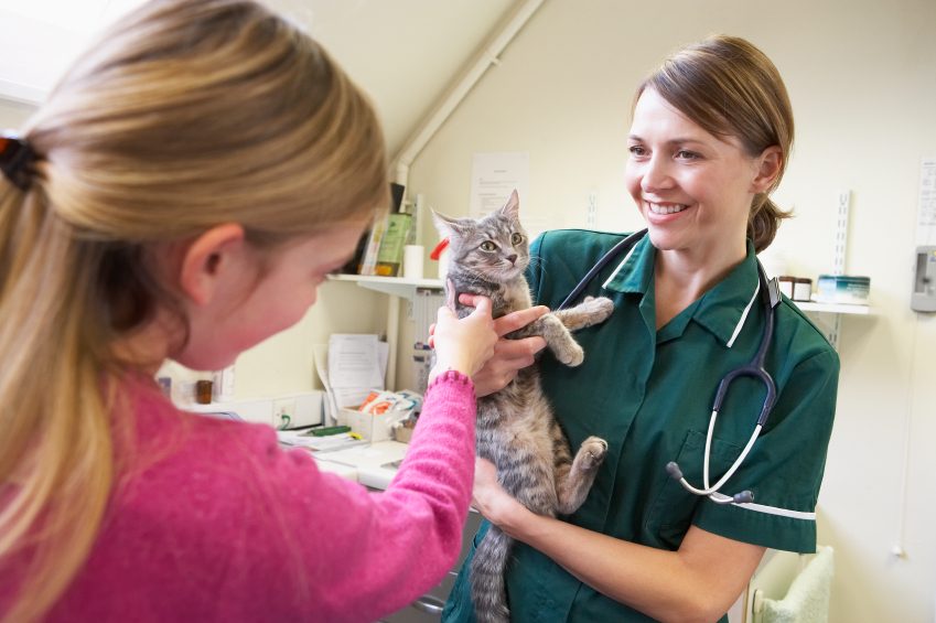Young Girl Bringing Cat For Examination By Vet